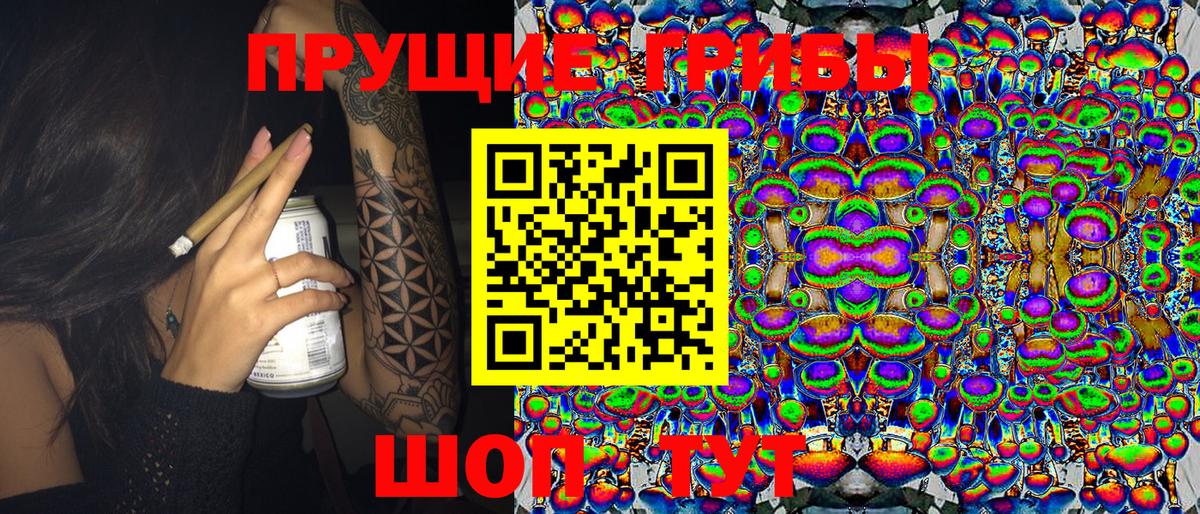Ноябрьск  Галлюциногенные грибы Cubensis  где продают наркотики  Вход с VPN  Галлюциногенные грибы мухоморы 