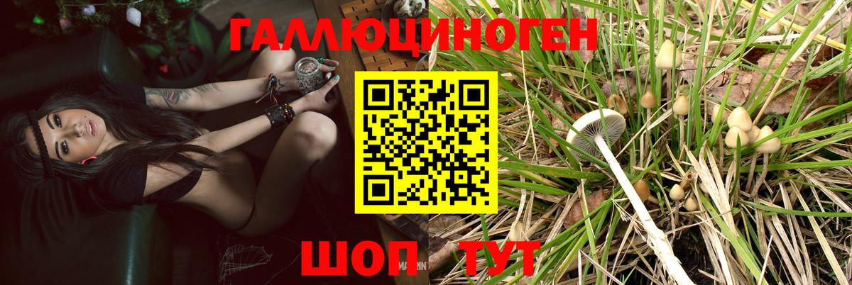 Псилоцибиновые грибы MAGIC MUSHROOMS Ноябрьск