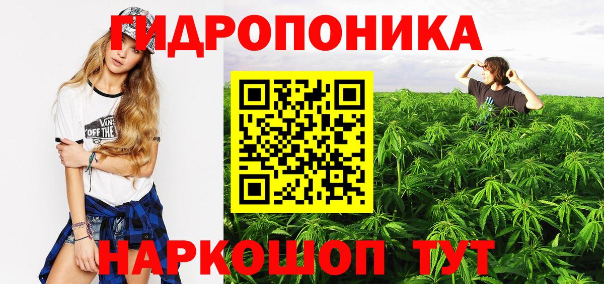 Шишки марихуана THC 21%  Вход с VPN  Бошки Шишки Bruce Banner  Марихуана марихуана  Ноябрьск 